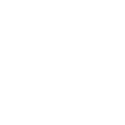 Food icon